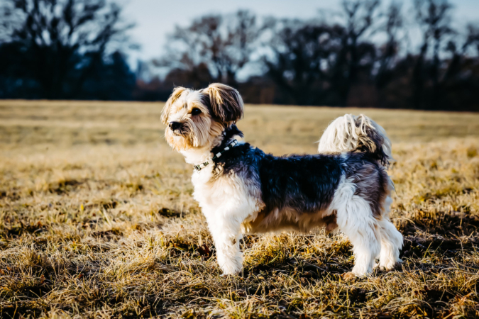 People-Shooting, Schwesternshooting im Winter am See, Thielen Fotografie und Film