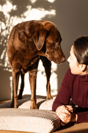 People-Shooting, Shooting mit Hund und junger Frau, Thielen Fotografie und Film