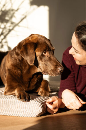 People-Shooting, Shooting mit Hund und junger Frau, Thielen Fotografie und Film