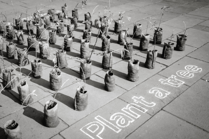Streetphotography, Streetart, Dresden, Thielen Fotografie und Film