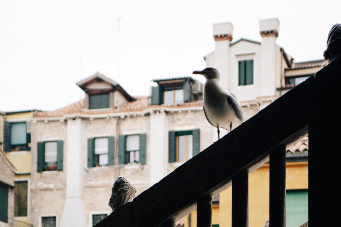 Streetphotography, Streetart, Venedig im Frühling, Thielen Fotografie und Film